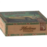 Grandma & Grandpa Mice in Cigar Box
