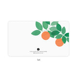 Little Notes || Orange Grove