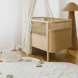 Washable Rug || Swan Lake