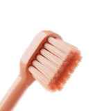 Big Kids & Adults Happ E-Brush || Pink