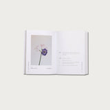 The Good and Beautiful Bible Study - Volume 1