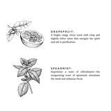 Natural Bar Soap || Grapefruit & Spearmint