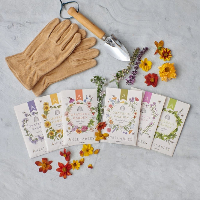 lavender vera seeds Garden Seeds || Vera Lavender Pollinator – Lyon and Pearle