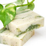 Iron Lion Soap || Kold