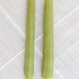 Celery Beeswax Candles Taper Pair