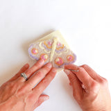Mini Moth Felting Craft Kit