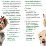 Ollopets Dental Spray Homeopathic Spray for All Pets, 30ml