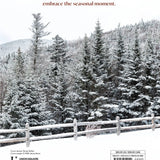 Warm Your Bones || Recipes for Chilly Days