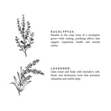 Laundry Powder || Eucalyptus & Lavender
