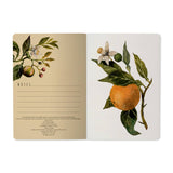 Notebook || Oranges & Blossoms 