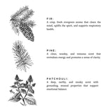 Non-Toxic Soy Candle || Forest Bathing