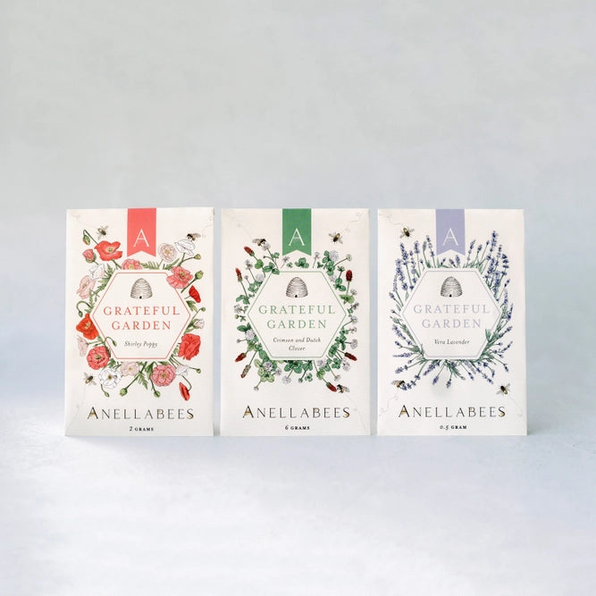 vera lavender seeds Garden Seeds || Vera Lavender Pollinator – Lyon and Pearle