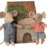 LouiMax & Stella || Little Sister & Brother Mice
