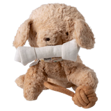 Puppy Toys