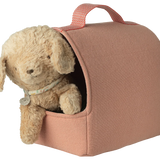 Pet Carrier || Coral