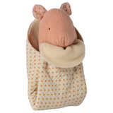 Mini Pig with Blanket || Rose