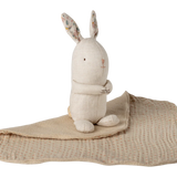 Mini Bunny with Blanket || Nature