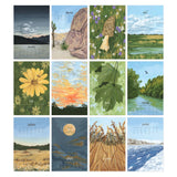 2026 XL Calendar || Natural World