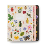 Curio Notebooks || Assorted Set