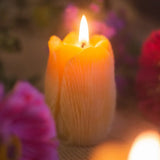 Beeswax Candle || Tulip