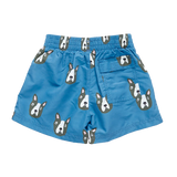 Boys Swim Trunk || Blue Boston Terrier