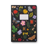 Curio Notebooks || Assorted Set