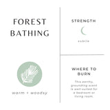 Non-Toxic Soy Candle || Forest Bathing