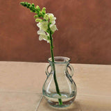 Small French Country Glass Vase - 6 1/4"
