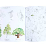 Garden Observation & Activity Booklet