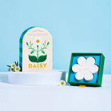 Skandi Blooms Bar Soap || Daisy