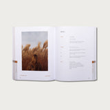 The Good and Beautiful Bible Study - Volume 1