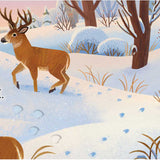 Whose Prints? || Board Book