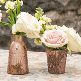 Fontainebleau Glass Vase Set of 2