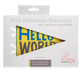 Petit Milestone Pennant || Little Kaleidoscope