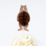 Cupcake Kit || Outdoor Adventures