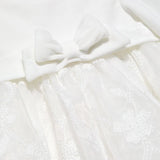 Baby Embroidered Organza Dress