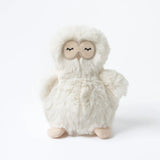 Owl Mini & Bigfoot Lesson Book || Self Esteem
