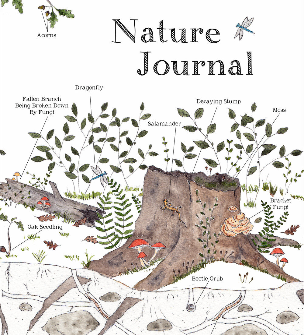 Nature Journal