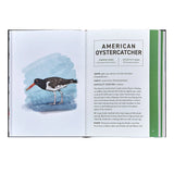 Birds: An Illustrated Field Guide || White Bonded Leather