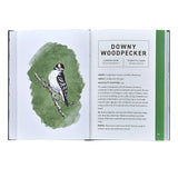 Birds: An Illustrated Field Guide || White Bonded Leather