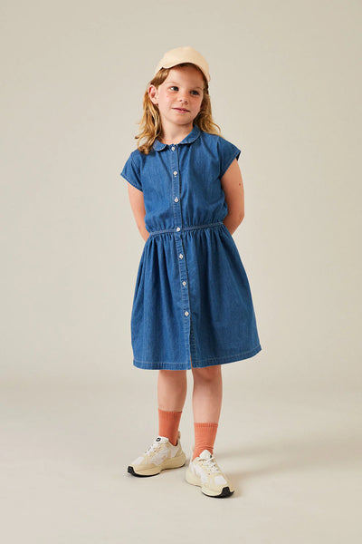 Denim Dress – Lyon and Pearle