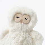 Owl Mini & Bigfoot Lesson Book || Self Esteem